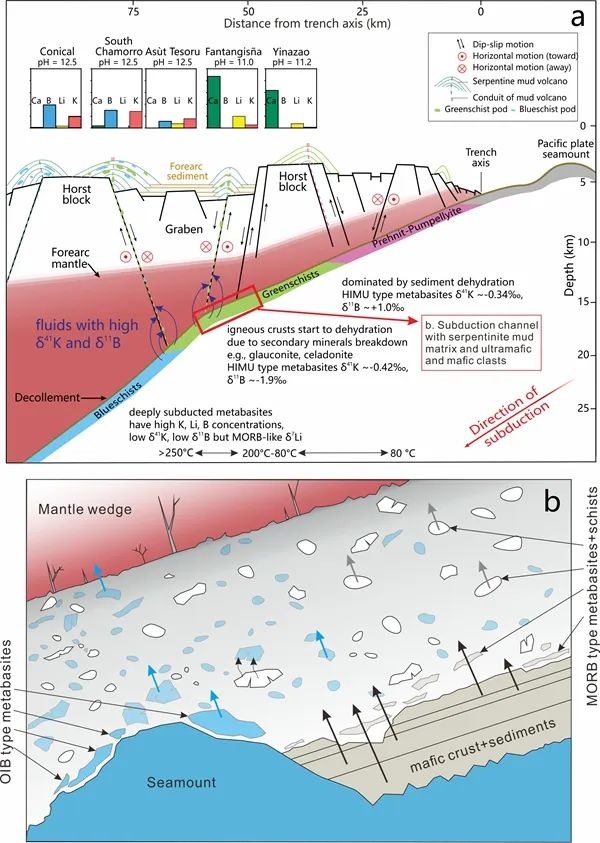 中国科学家发表IODP 366航次新成果：运用钾－锂同位素示踪俯冲带弧前物质循环过程